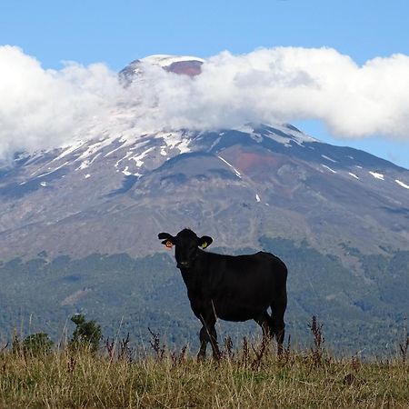 La Posada Del Colono Puerto Clocker 外观 照片